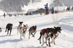 Lenk 2012 SM